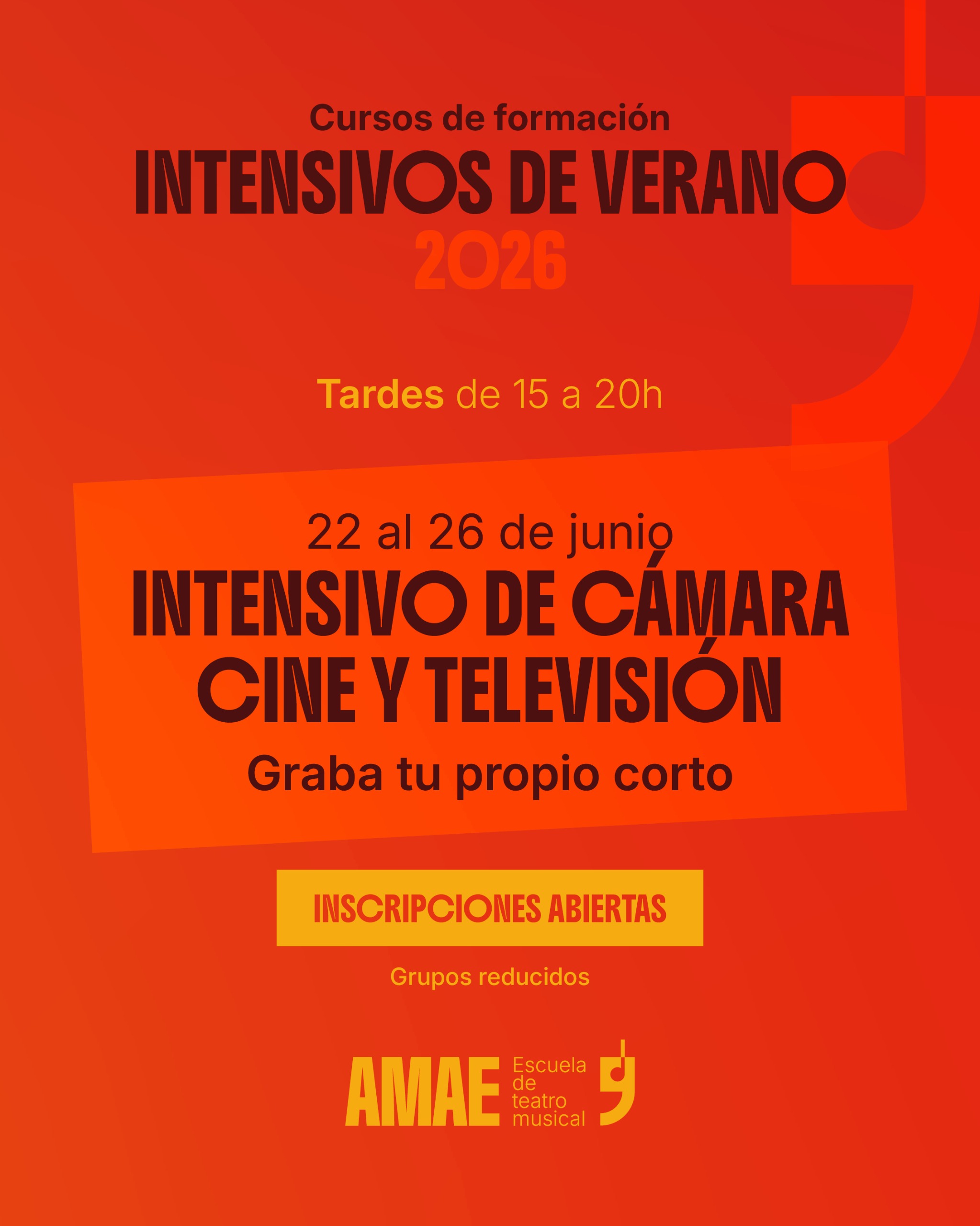 Cartel 11 · Intensivo Cámara Cine